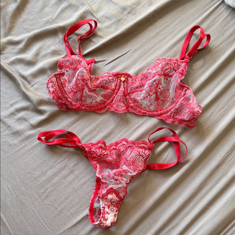 Lace Embroidered Red Bra Set